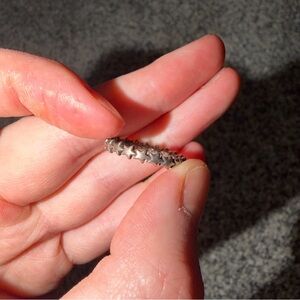 Star silver ring